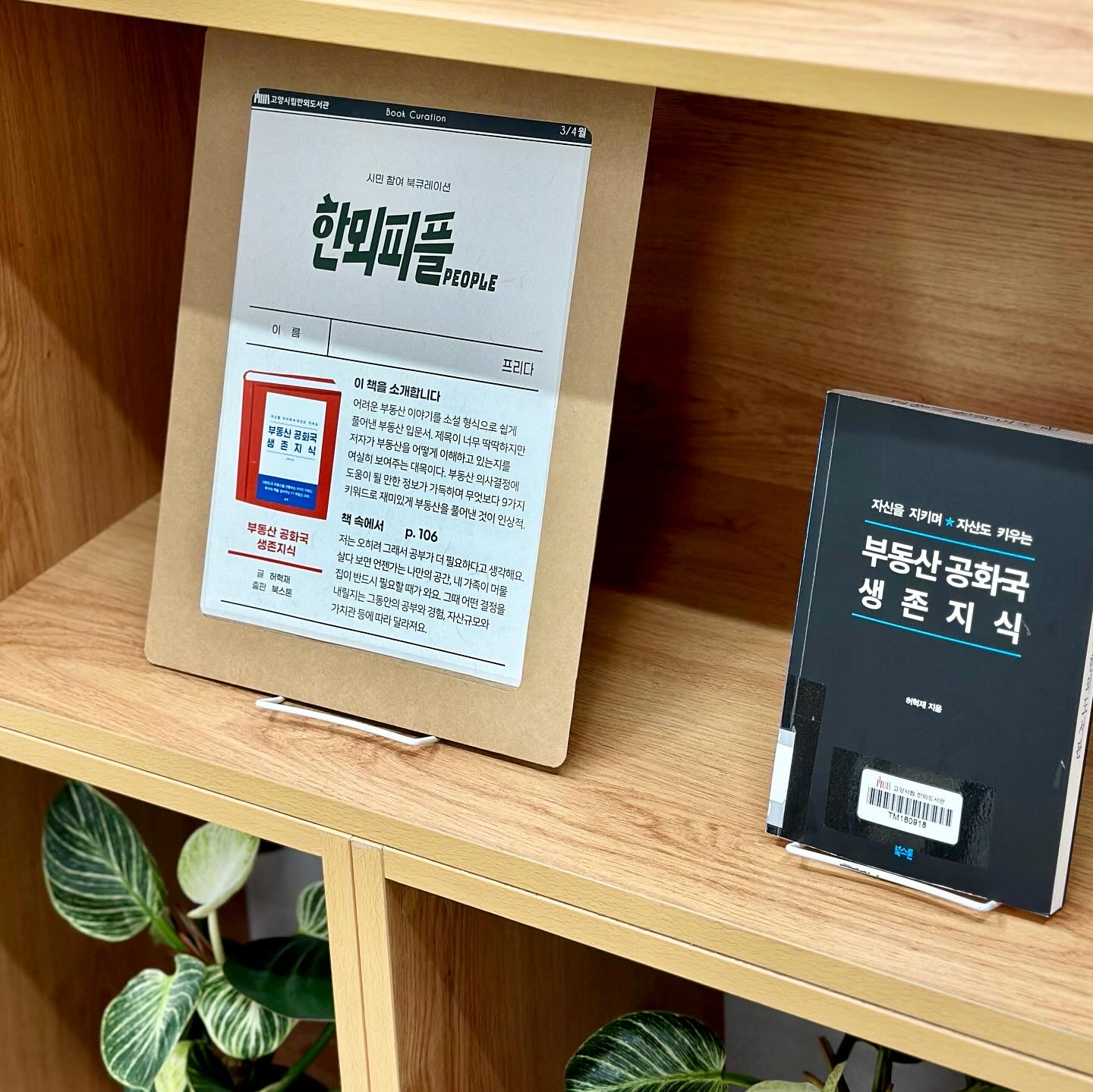 북큐레이션 전시 북큐레이션 전시 사진사진