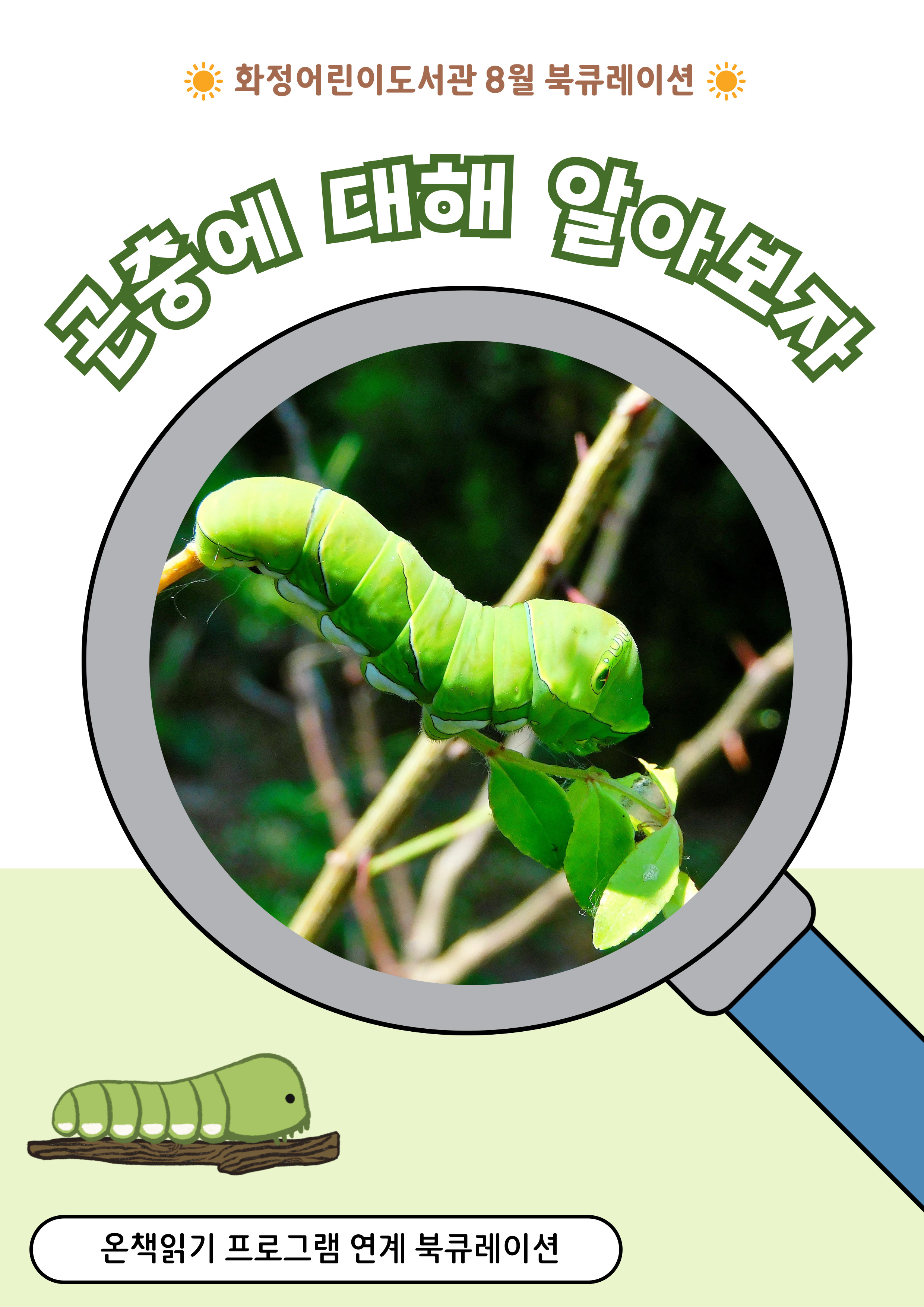 [8월 북큐레이션] 곤충에 대해 알아보자