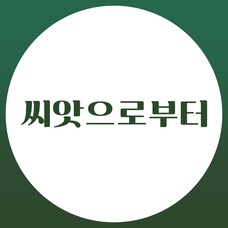 씨앗으로부터