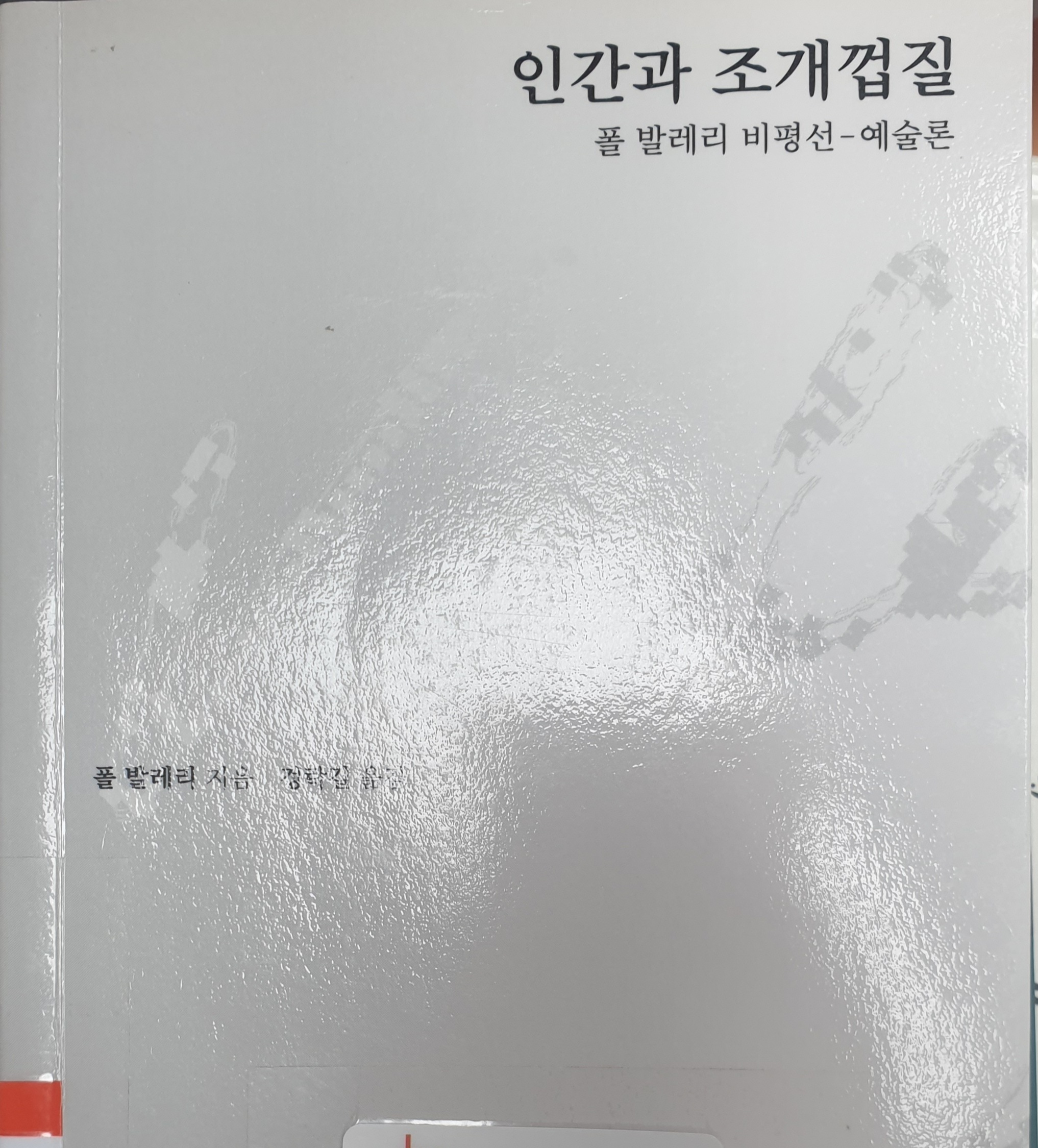 인간과 조개껍질